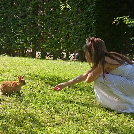 Abano Ritz Terme أبانو تيرمي