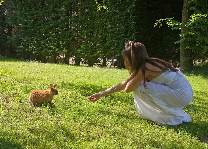 Abano Ritz Terme Abano Terme